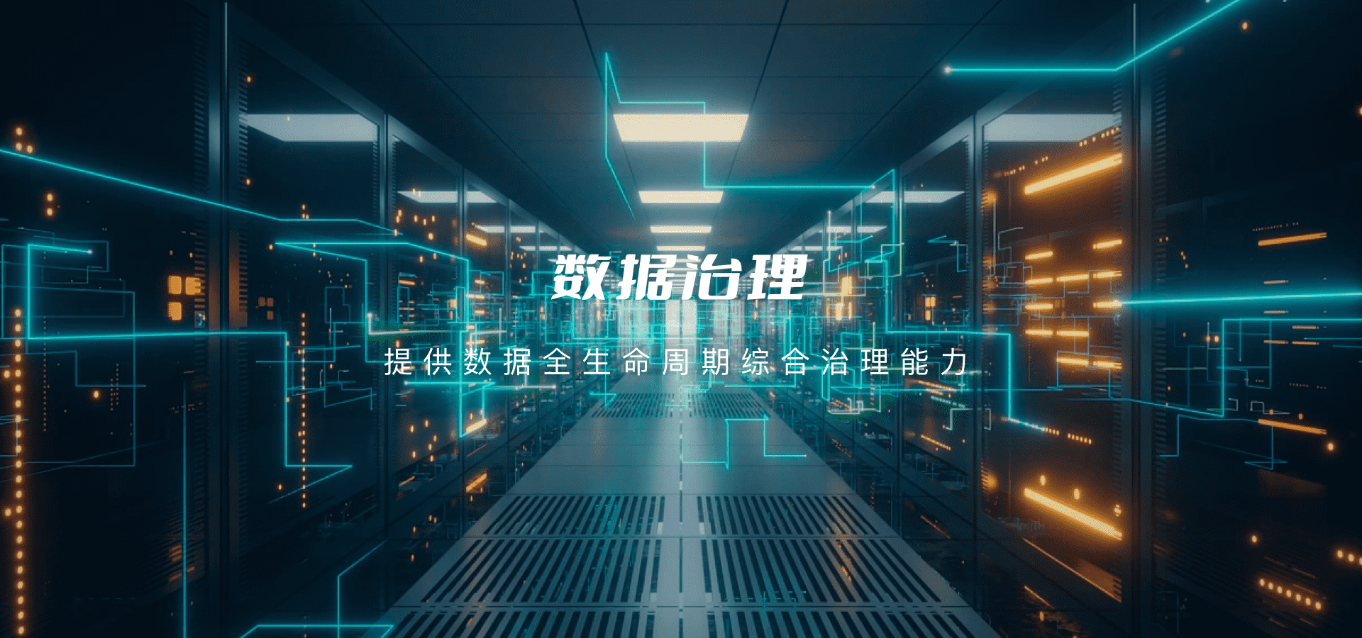 数据治理